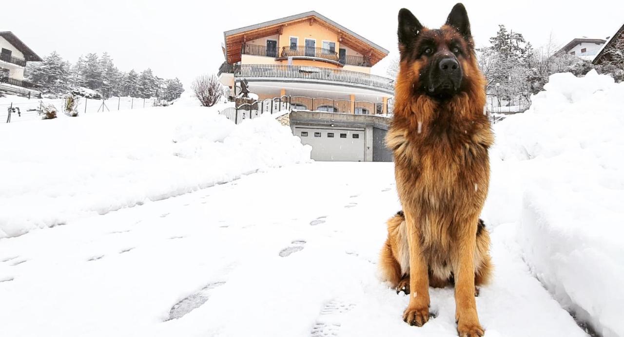 Affittacamere Dolce Sogno Коредо Екстер'єр фото