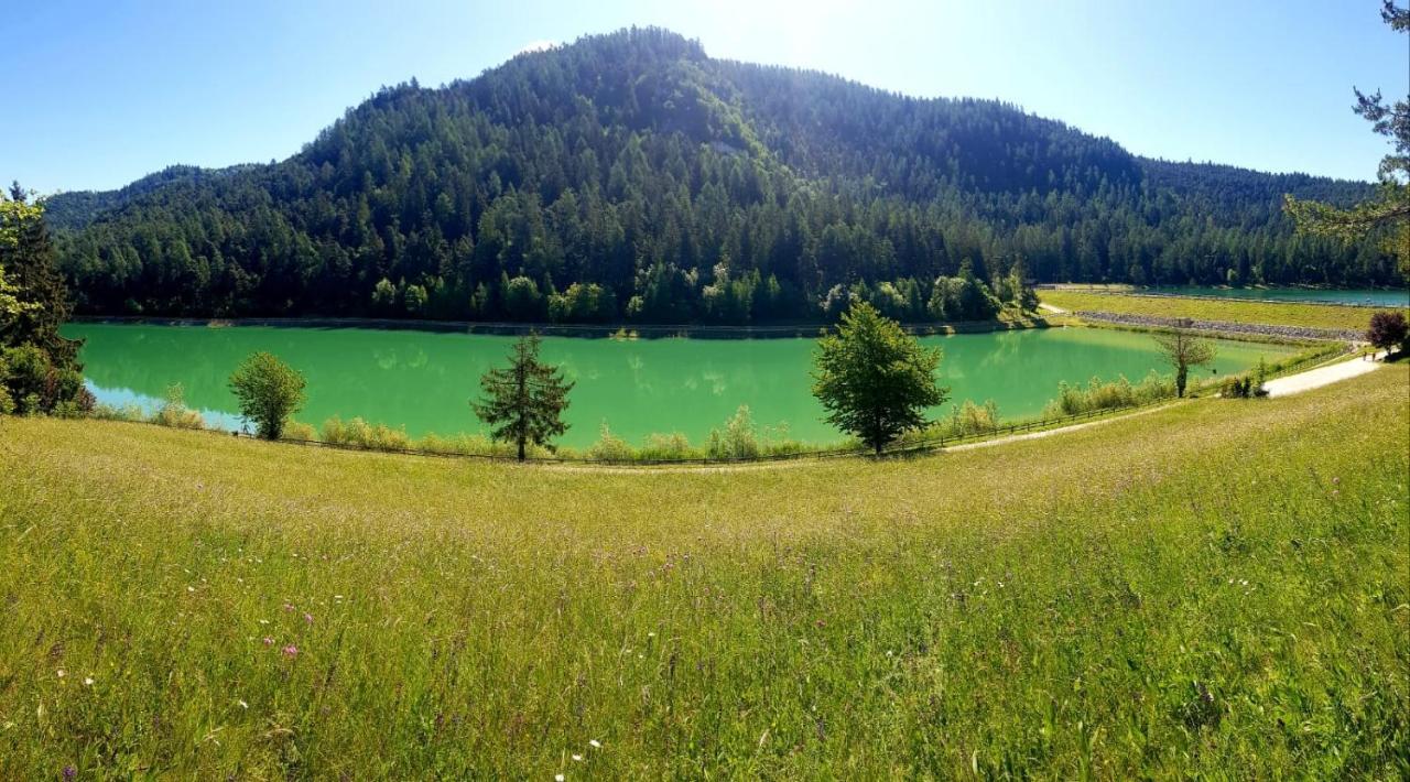Affittacamere Dolce Sogno Коредо Екстер'єр фото